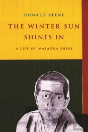 Winter Sun Shines In