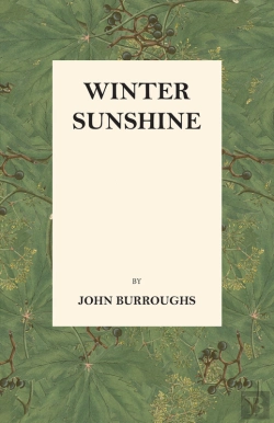 Bertrand.pt - Winter Sunshine