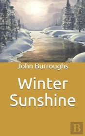Winter Sunshine