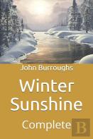 Winter Sunshine
