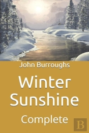 Winter Sunshine