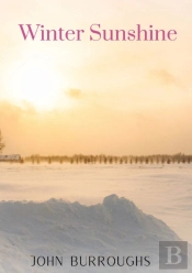 Winter Sunshine