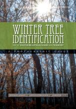 Winter Tree Identification For The Southern Appalachians And Piedmont