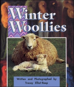 Bertrand.pt - Winter Woolies