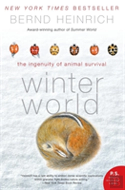 Bertrand.pt - Winter World