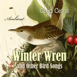 Bertrand.pt - Winter Wren And Other Bird Songs