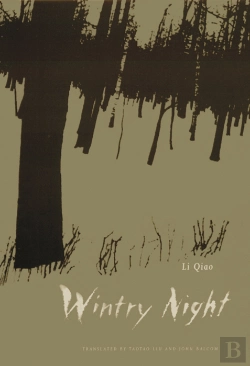 Bertrand.pt - Wintry Night