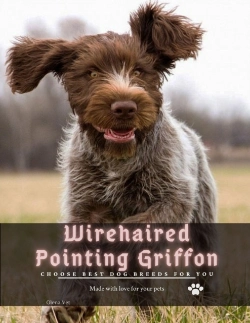 Bertrand.pt - Wirehaired Pointing Griffon