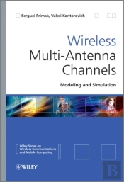 Wireless Multi-Antenna Channels