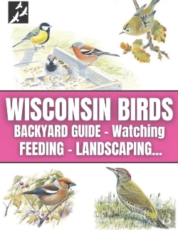 Bertrand.pt - Wisconsin Birds