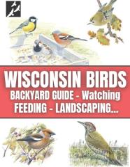 Wisconsin Birds