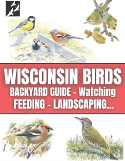 Bertrand.pt - Wisconsin Birds