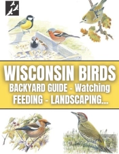 Wisconsin Birds