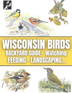 Bertrand.pt - Wisconsin Birds
