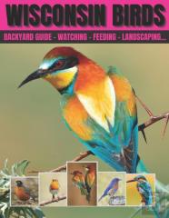 Wisconsin Birds