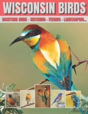Wisconsin Birds
