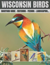 Wisconsin Birds