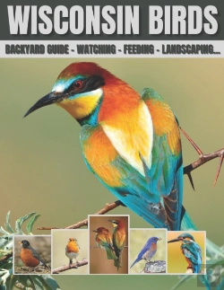 Bertrand.pt - Wisconsin Birds