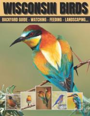 Wisconsin Birds