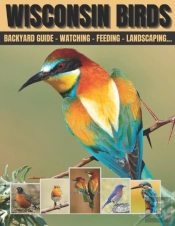 Wisconsin Birds