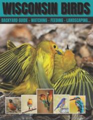 Wisconsin Birds