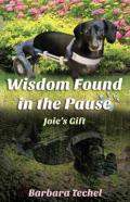 Wisdom Found In The Pause