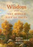 Wisdom From The Hidden Life Of Trees