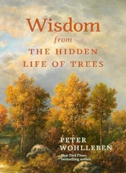 Bertrand.pt - Wisdom From The Hidden Life Of Trees