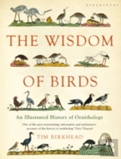 Wisdom Of Birds