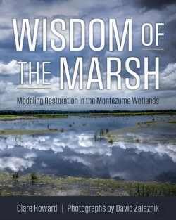 Bertrand.pt - Wisdom Of The Marsh
