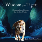 Wisdom Of The Tiger