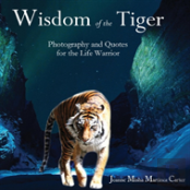 Wisdom Of The Tiger