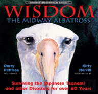 Wisdom, The Midway Albatross