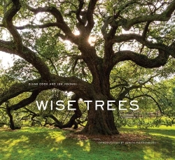 Bertrand.pt - Wise Trees