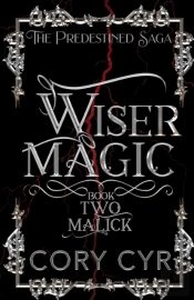 Wiser Magic Book 2