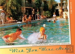 Bertrand.pt - Wish You Were Here
