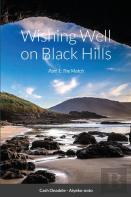 Wishing Well On Black Hills