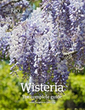 Wisteria: The Complete Guide