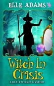 Witch In A Crisis