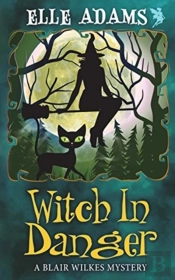 Witch In Danger