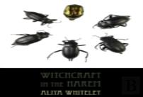 Witchcraft In The Harem