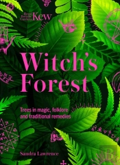 Witch'S Forest