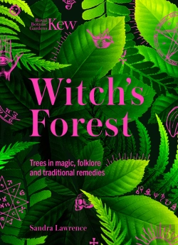 Bertrand.pt - Witch'S Forest