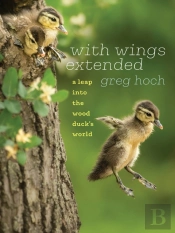 With Wings Extended
