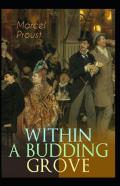 Within A Budding Grove By Marcel Proust Illustrated Edition