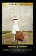 Within A Budding Grove By Marcel Proust Illustrated Edition
