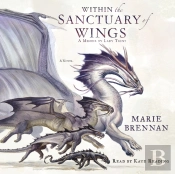 Within The Sanctuary Of Wings