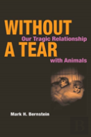 Without A Tear