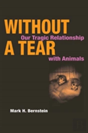 Without A Tear