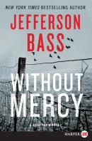 Without Mercy (Large Print)